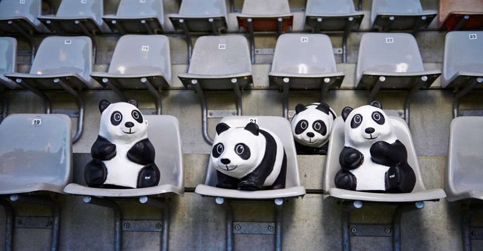 Arno Kohlem / WWF, SC Freiburg