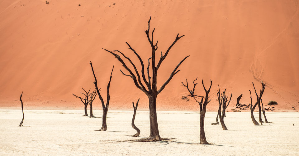Deadvlei - Arno Kohlem